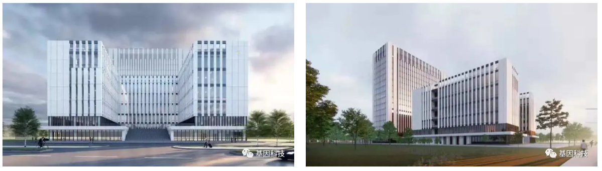 一竞技官网11.png
